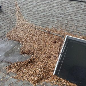 leaves accumulated on a roof and in a gutter indicating a need for gutter cleaning and maintenance