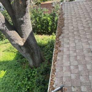 gutter cleaning service removing leaves and debris from a roof gutter with overhanging tree branches nearby