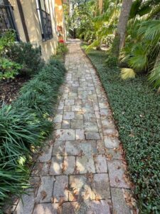 leafy walkway with paver stones surrounded by lush greenery and scattered leaves on the ground