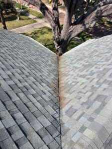 roof showing discoloration and algae buildup along the ridge and shingles needing cleaning or maintenance