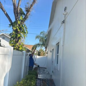 south tampa gutter and window cleaning pressure washing a house exterior with a focus on cleanliness and maintenance