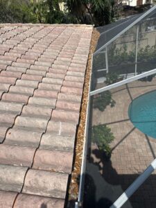 gutter cleaning service removing debris from a clay tile roof near a pool area with surrounding plants and pavers