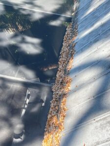 cluttered gutter filled with leaves and debris indicating a need for cleaning services
