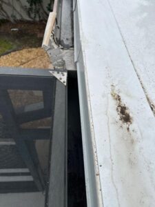 gutter cleaning service showing debris accumulation and potential blockage near the edge of a roof and gutter system