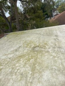 concrete surface showing mold and mildew indicating a need for cleaning services by south tampa gutter and window cleaning