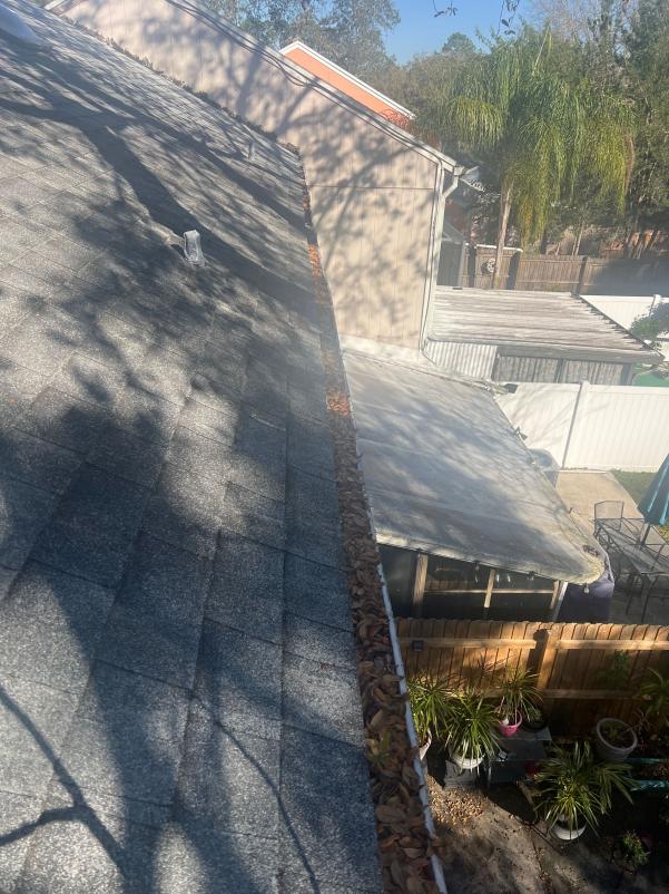 gutter cleaning service showing leaves and debris accumulated along the roof edge with a clear view of surrounding foliage