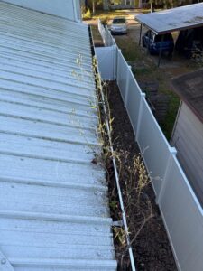 gutter cleaning service removing vegetation from gutters and roof area