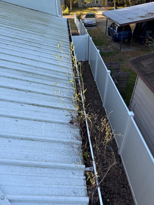 gutter cleaning service removing vegetation from gutters and roof area