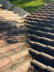 roof tiles covered with leaves and debris indicating a need for gutter cleaning and roof maintenance services