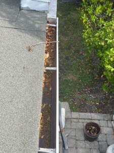 gutter cleaning with leaves and debris visible in the gutter alongside a gray roof and plants nearby