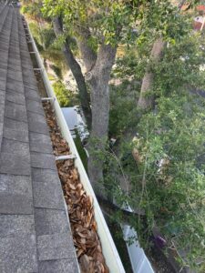 gutter cleaning service removing leaves from a gutter on a residential roof with nearby trees visible