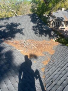 removal of debris including pine needles and branches from a dark shingle roof to prevent damage and clogging
