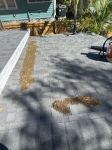 cleaning debris from a gray shingle roof showing noticeable areas of dirt and leaves removed from the surface