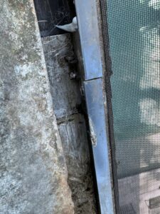 gutter cleaning service showing debris buildup around the rim of the gutter and mesh screen near a window