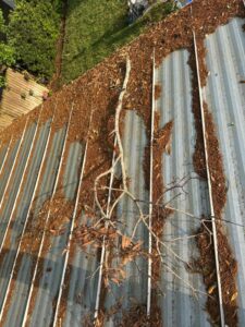 gutter cleaning services removing debris such as leaves and branches from a metal roof surface
