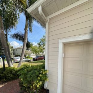 gutter cleaning service visible with downspouts and a clean exterior of a house surrounded by palm trees and shrubs