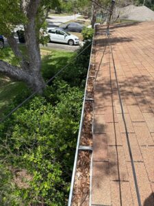gutter cleaning with debris accumulation visible along the edge of a roof near surrounding greenery and trees
