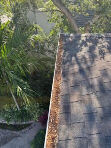gutter cleaning service showing leaves and debris accumulated along the edge of a roof with surrounding trees and plants