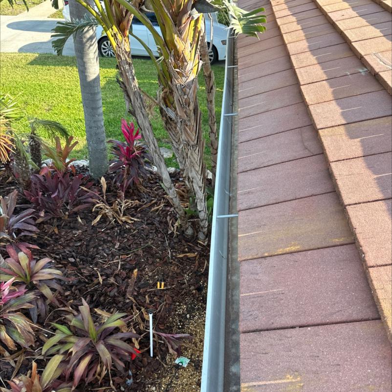 gutter cleaning service showing clear gutters with foliage and landscaping nearby
