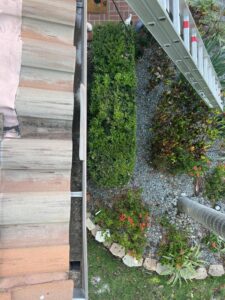 gutter cleaning service with a ladder positioned next to landscaped garden and metal roof edge clearly visible
