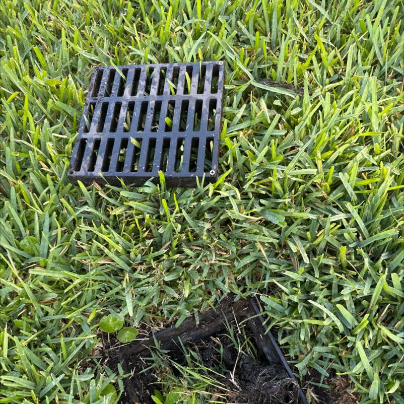 drain cover removed revealing dirt and debris in grass likely for cleaning or maintenance purposes