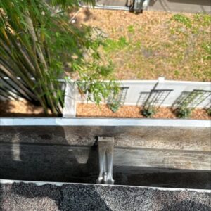 gutter cleaning service showing debris buildup inside the gutter with a view of surrounding landscaping and fencing below