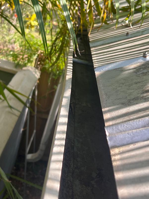 gutter cleaning service showing debris and dirt buildup in the gutter system with surrounding greenery visible in the background