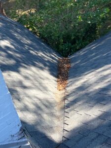 debris accumulation in the roof valley near the chimney indicating potential gutter or roof maintenance needs