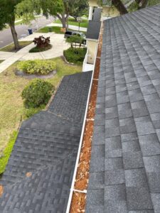 debris accumulation in the gutter along a sloped roof needing cleaning and maintenance for optimal drainage
