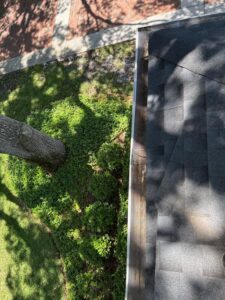 gutter cleaning service showing a roof edge with a clear view of shingles and gutter system along with surrounding greenery