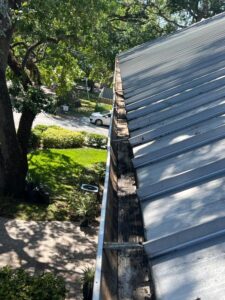 gutter cleaning service on a metal roof with debris buildup along the edge and surrounding greenery visible