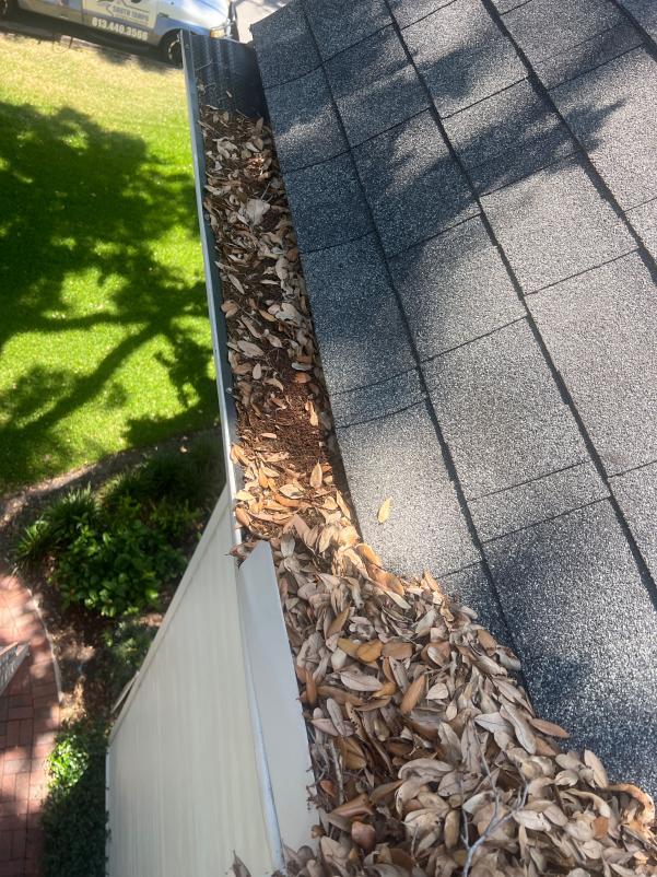 clogged gutter filled with leaves and debris near a sloped roof and green lawn