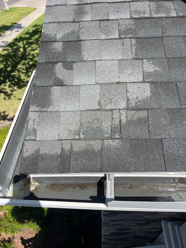 roof cleaning in progress with visible debris in gutter and water stains on shingles near the edge of the roof