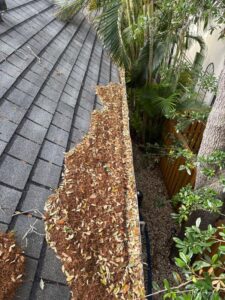 gutter cleaning service removing leaves and debris from a roof gutter near greenery and palm trees