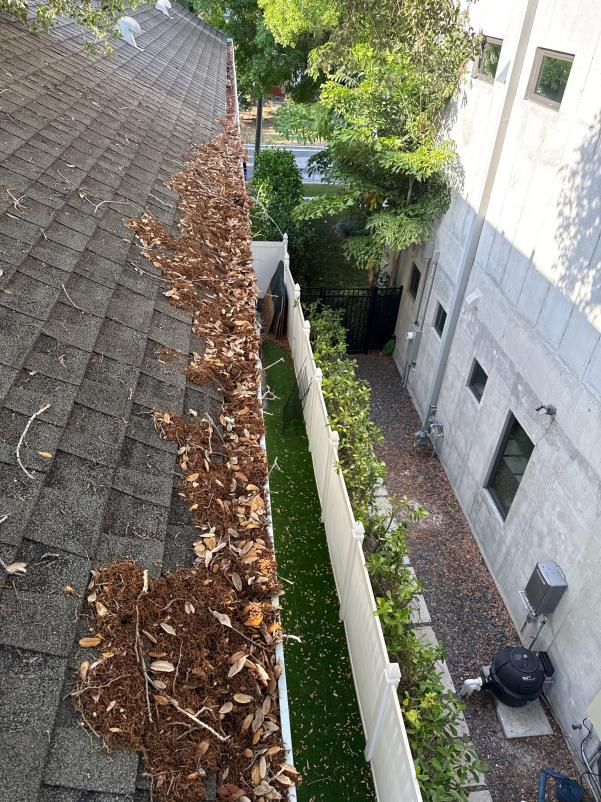 gutters filled with leaves and debris on a sloped roof needing cleaning and maintenance