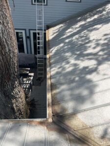 gutter cleaning service with a metal roof and visible dirt buildup a ladder against a tree near the house