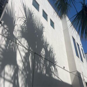 shadows of palm trees cast on a white wall under a clear blue sky with windows visible on the facade