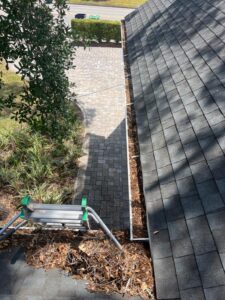 gutter cleaning service showing debris buildup on the roof edge with a ladder positioned for access and maintenance