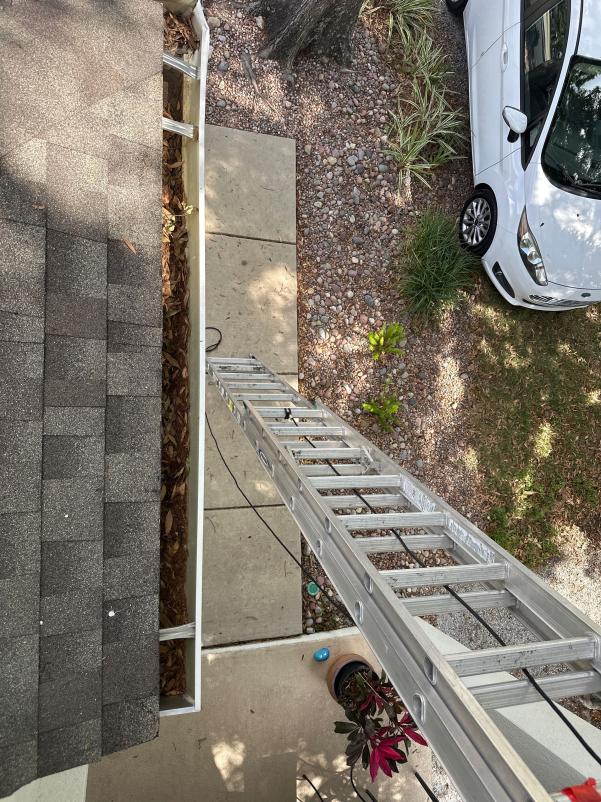 ladder positioned next to a house likely for gutter cleaning with a view of landscaping and a parked car