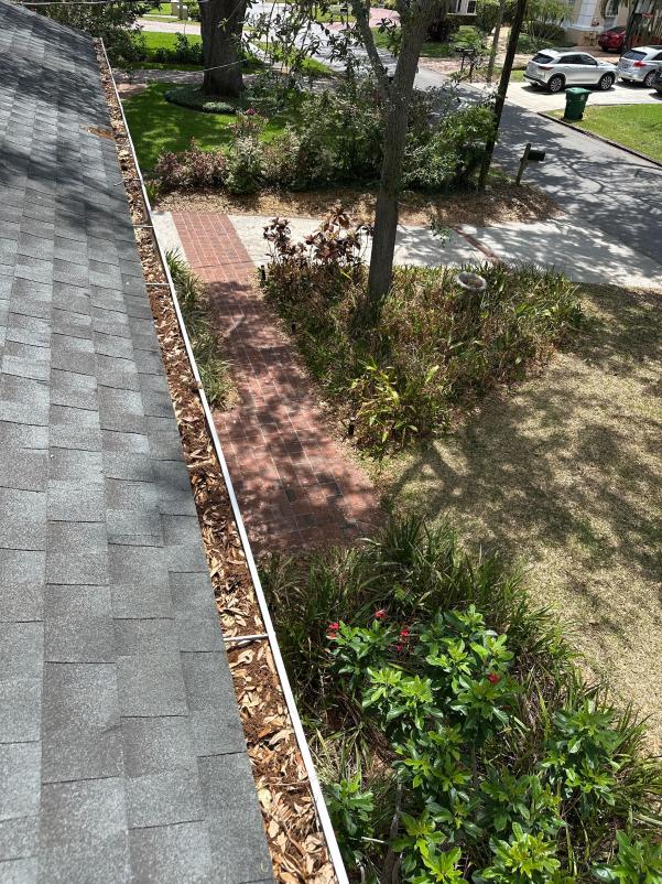 cluttered gutter filled with debris on a roof overlooking a garden pathway and landscaped plants below