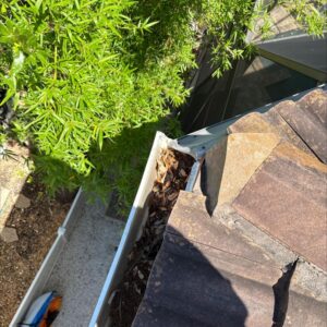 gutter cleaning showing debris like leaves and dirt buildup near roof edge with greenery in the background