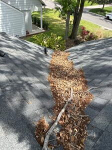 roof covered in leaves and debris indicating potential gutter cleaning or roof maintenance needed