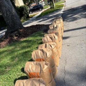 brown paper bags lined up on a residential street likely containing yard waste or leaves for collection