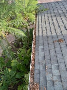 gutter cleaning in progress showing debris on the roof and cleared gutters with surrounding greenery and paving stones visible