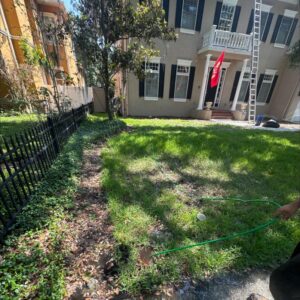 south tampa gutter and window cleaning appears to be using a hose in the grassy area near a house
