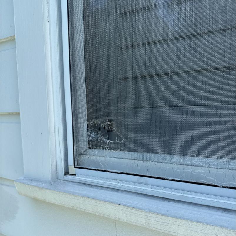 damaged window screen with holes and tears on a white frame and surrounding vinyl siding near the window