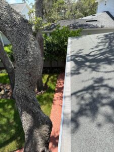gutter cleaning service showing the roof edge along with a tree and grass areas nearby