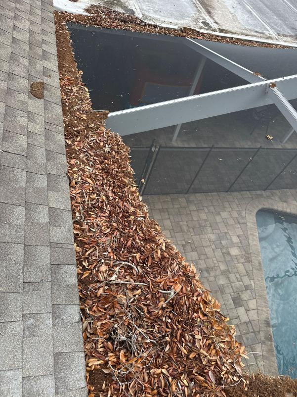 gutter cleaning service removing leaves and debris from a rooftop gutter near a swimming pool area