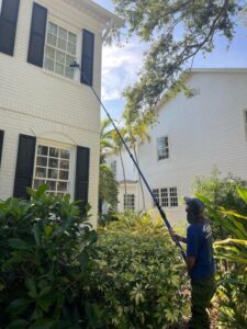 worker cleaning a high window using a long pole while surrounded by tropical plants and two white houses in background