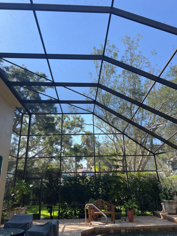 cleaning a pool enclosure with a clear blue sky and surrounding greenery visible through the screen structure